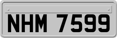 NHM7599