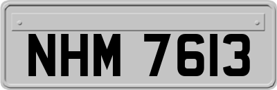 NHM7613