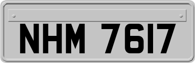 NHM7617