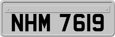 NHM7619