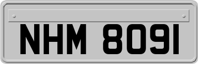 NHM8091