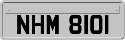 NHM8101