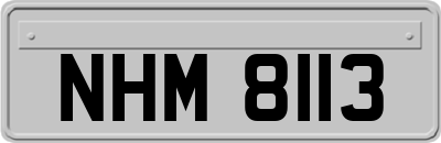 NHM8113
