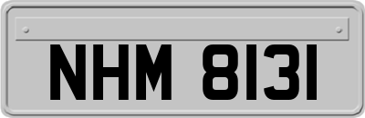 NHM8131