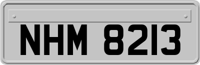 NHM8213