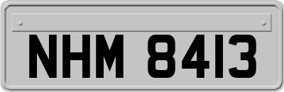 NHM8413