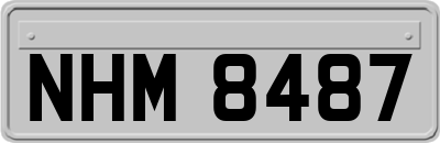 NHM8487