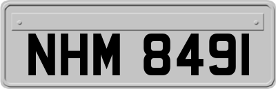 NHM8491