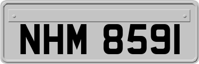 NHM8591