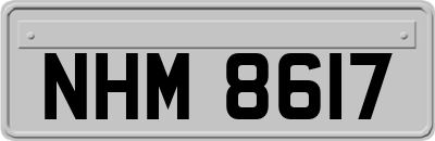 NHM8617