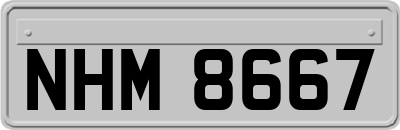 NHM8667