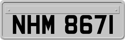 NHM8671