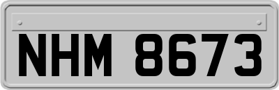 NHM8673