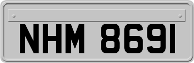 NHM8691
