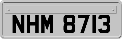 NHM8713