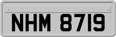 NHM8719