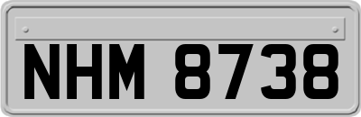 NHM8738