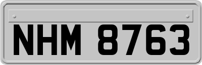 NHM8763