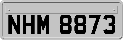NHM8873
