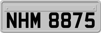 NHM8875