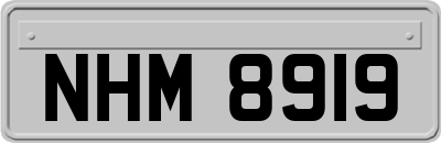 NHM8919