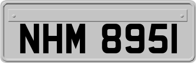 NHM8951