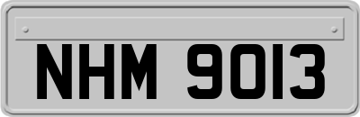NHM9013