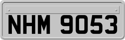 NHM9053