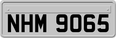 NHM9065