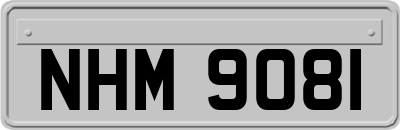 NHM9081