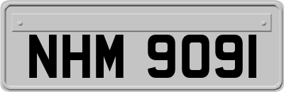 NHM9091