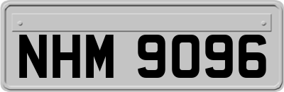 NHM9096