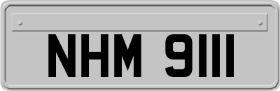NHM9111