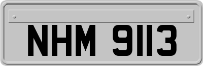 NHM9113