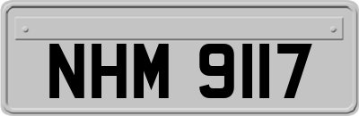NHM9117