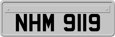 NHM9119