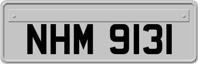 NHM9131