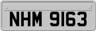 NHM9163
