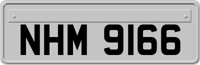 NHM9166