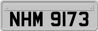 NHM9173