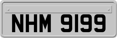 NHM9199