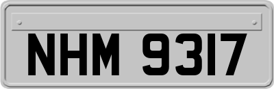 NHM9317
