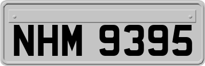 NHM9395