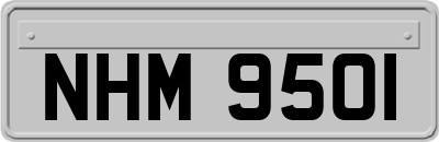 NHM9501