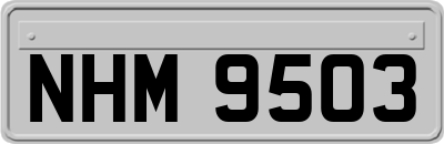 NHM9503