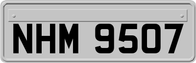 NHM9507