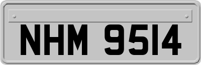 NHM9514