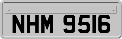 NHM9516