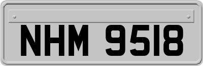 NHM9518