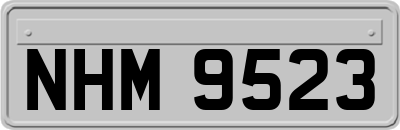 NHM9523
